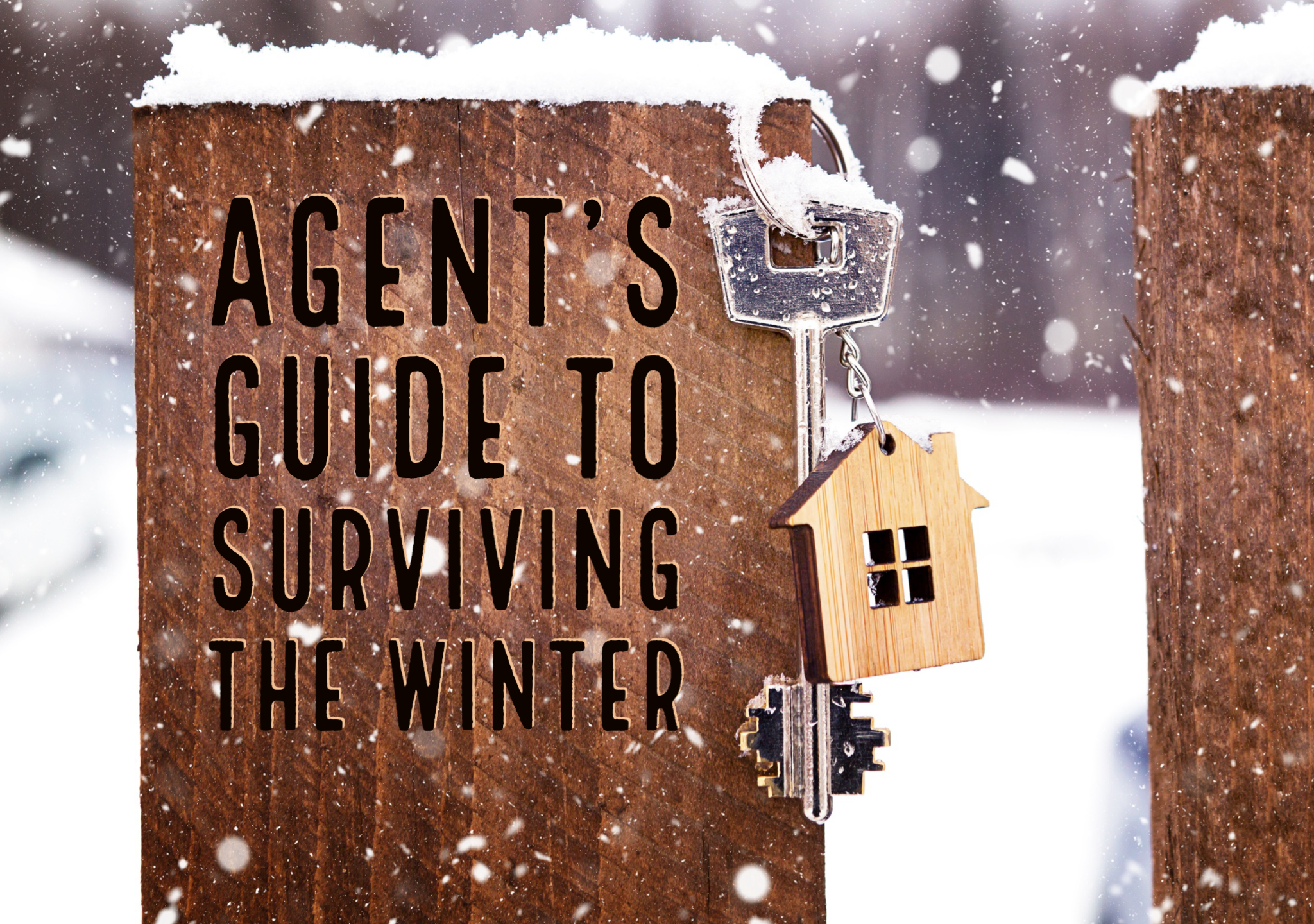 Agent's Guide to Surviving the Winter