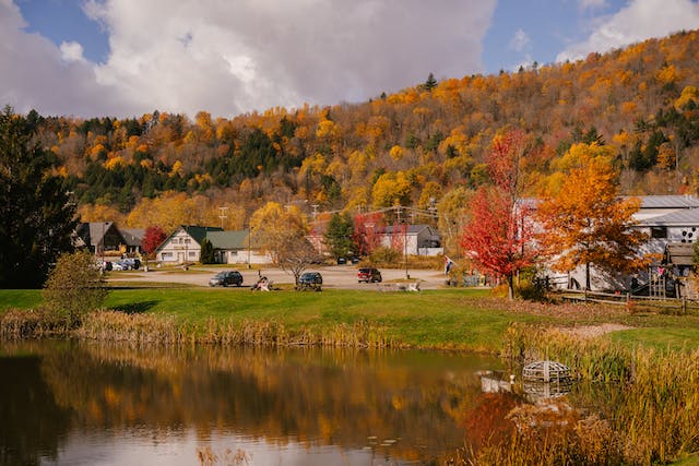 Many houses with autumn trees behind them